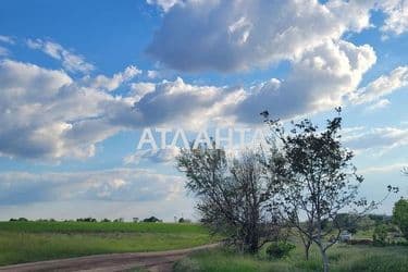 Landplot by the address (area 9999 acr) - Atlanta.ua - photo 12