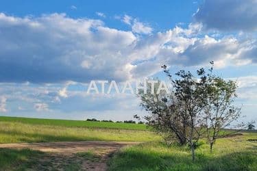 Landplot by the address (area 9999 acr) - Atlanta.ua - photo 10