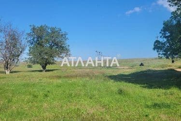 Landplot by the address (area 9999 acr) - Atlanta.ua - photo 15