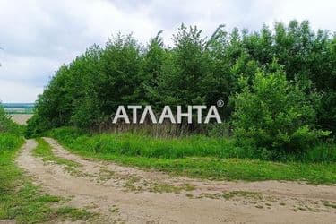 Ділянка за адресою вул. Центральна (площа 25 сот) - Atlanta.ua - фото 11