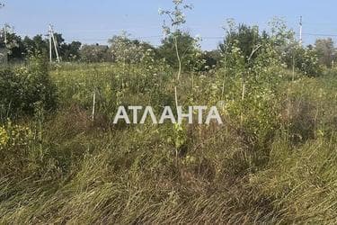 Landplot by the address st. Novaya (area 9,7 acr) - Atlanta.ua - photo 21