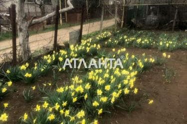 Landplot by the address st. Radostnaya (area 6 acr) - Atlanta.ua - photo 16
