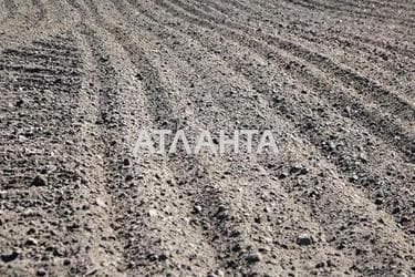 Landplot by the address (area 2,1 acr) - Atlanta.ua - photo 7