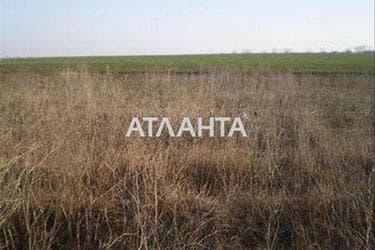 Landplot by the address (area 25 acr) - Atlanta.ua - photo 8