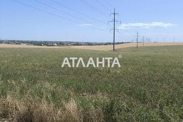 Landplot by the address (area 100 acr) - Atlanta.ua - photo 12