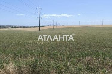 Landplot by the address (area 100 acr) - Atlanta.ua - photo 13