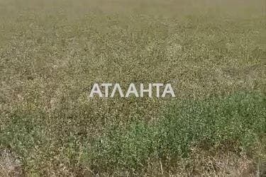 Landplot by the address (area 100 acr) - Atlanta.ua - photo 10