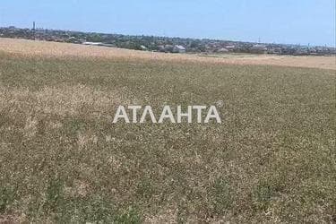 Landplot by the address (area 100 acr) - Atlanta.ua - photo 15