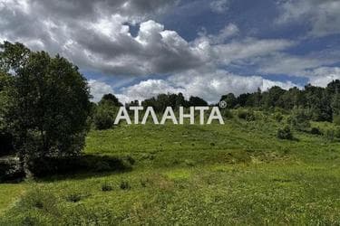 Landplot by the address st. Tsentralnaya (area 8 acr) - Atlanta.ua - photo 11