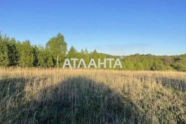 Landplot by the address st. Tsentralnaya (area 25 acr) - Atlanta.ua - photo 10
