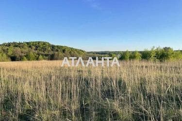 Landplot by the address st. Tsentralnaya (area 25 acr) - Atlanta.ua - photo 11