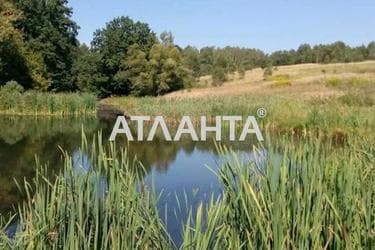Landplot by the address st. Tsentralnaya (area 25 acr) - Atlanta.ua - photo 18