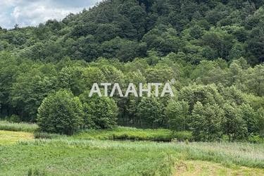 Landplot by the address st. Bridok (area 15 acr) - Atlanta.ua - photo 8