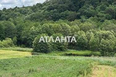 Landplot by the address st. Bridok (area 15 acr) - Atlanta.ua - photo 11