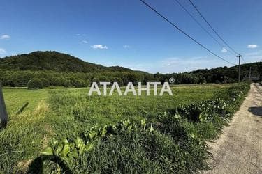 Landplot by the address st. Bridok (area 15 acr) - Atlanta.ua - photo 10
