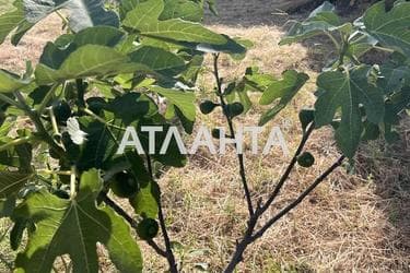 Будинок за адресою вул. Новоселів (площа 32,8 м²) - Atlanta.ua - фото 40