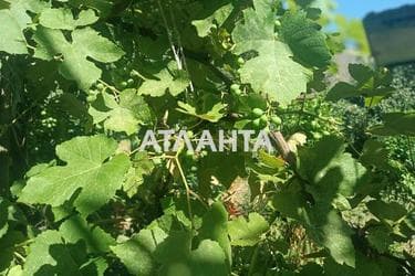Будинок за адресою вул. Виноградна (площа 93,6 м²) - Atlanta.ua - фото 36