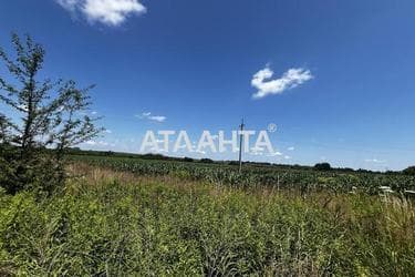 Landplot by the address (area 128,0 acr) - Atlanta.ua - photo 12