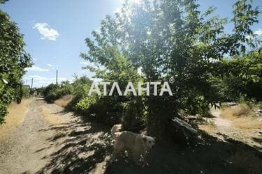 Landplot by the address (area 9,8 acr) - Atlanta.ua - photo 8