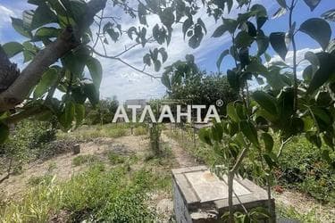 Landplot by the address (area 7,8 acr) - Atlanta.ua - photo 7