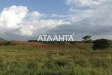 Landplot by the address (area 6 acr) - Atlanta.ua - photo 10