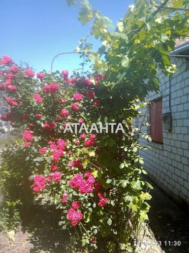 Dacha by the address st. 19 ya liniya (area 32 m²) - Atlanta.ua - photo 45